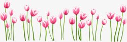 春季文艺粉色郁金香花朵素材