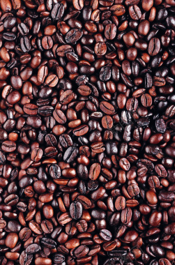 深棕色咖啡可可豆背景图背景