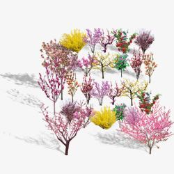 花桃树木合集高清图片