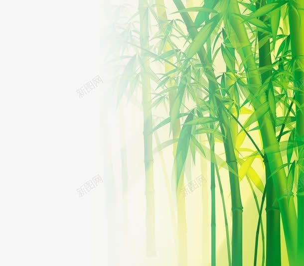春季景观公园植物竹子png免抠素材_新图网 https://ixintu.com 公园 春季 景观 植物 竹子