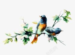 枝头小鸟春天枝头的小鸟高清图片