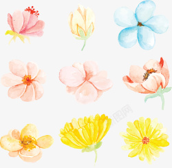 五彩春花五彩水彩手绘花朵矢量图高清图片