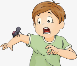 害怕蜘蛛的男孩素材