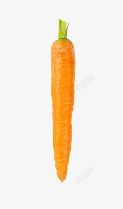 生吃蔬菜一根完整的胡萝卜实物高清图片