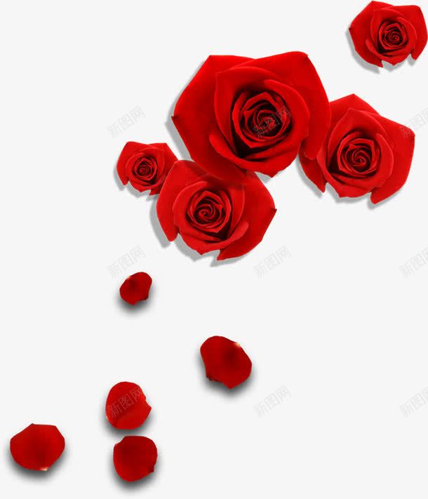 手绘红色玫瑰花朵婚礼png免抠素材_新图网 https://ixintu.com 婚礼 玫瑰 红色 花朵