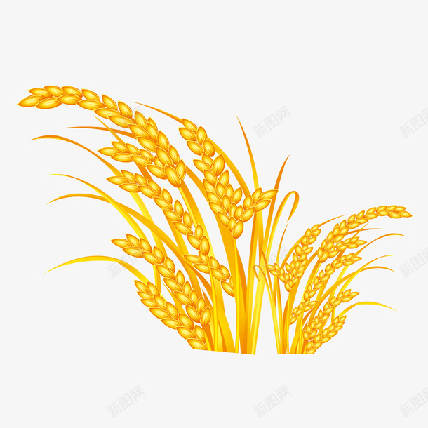 金色水稻图标psd_新图网 https://ixintu.com 图标 插图 水稻 粮食 背景图 谷物 金色稻子