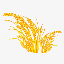 水稻谷物金色水稻图标高清图片