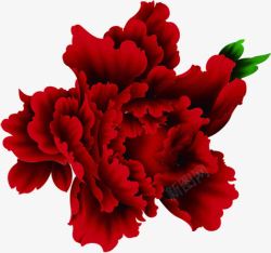 红色花朵招聘装扮素材