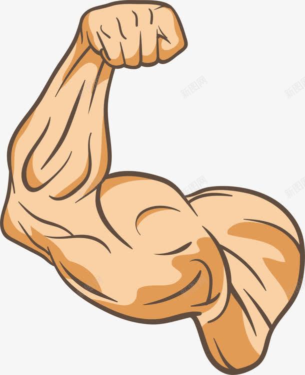健身教练的手臂png免抠素材_新图网 https://ixintu.com 上臂 健身 健身教练 减肥塑形 强壮 手臂 有力量 肌肉 肌肉线条