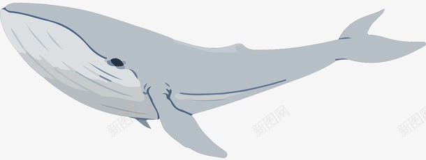 简约北欧风手绘鲸鱼png免抠素材_新图网 https://ixintu.com 手绘 欧风 海洋生物 漫画 简约 鲸鱼