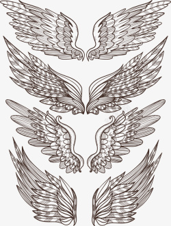 大鹏展翅装饰画精致的手绘翅膀矢量图高清图片