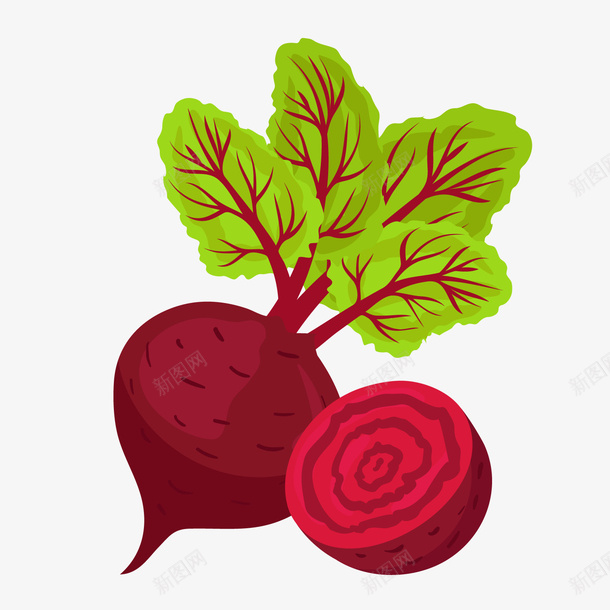 一个手绘的红菜头矢量图ai免抠素材_新图网 https://ixintu.com 扁平化 沙拉 甜品 甜菜头 红色 红菜头 美味 蔬菜 矢量图