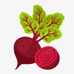 一个手绘的红菜头矢量图素材