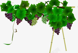 图片葡萄架葡萄架高清图片