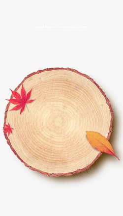 秋天树桩树桩上的落叶卡通图高清图片