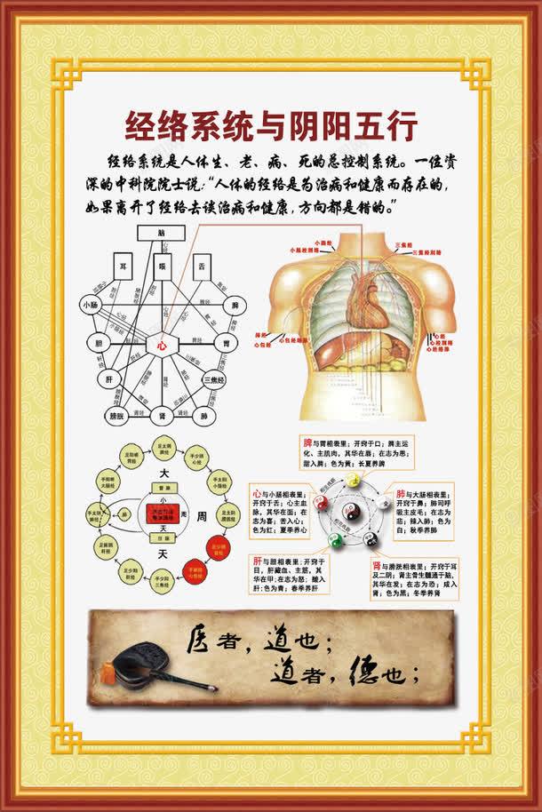 经络系统与阴阳五行png_新图网 https://ixintu.com PS分层 中华文明 人体内脏 养生 十二 易声康 海报 相框 经络与疾病 经络图 经络系统与阴阳五行 背部 黄帝内经