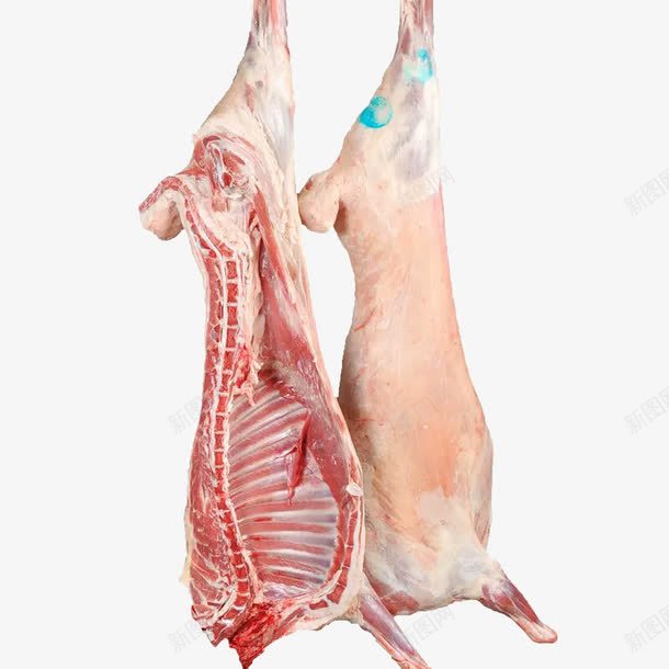 白条羊羊肉png免抠素材_新图网 https://ixintu.com 半只羊 生鲜 羊羔肉 羊肉 美食