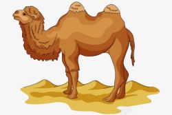 骆驼动物沙漠里的骆驼高清图片