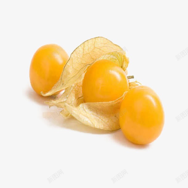 哥伦比亚龙珠果png免抠素材_新图网 https://ixintu.com 哥伦比亚龙珠果 姑娘果 水果 甜 美味 黄色