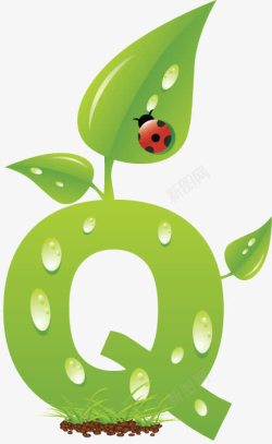 绿色松枝字母Q字母Q高清图片