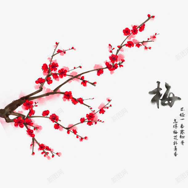彩绘的树枝上的梅花png免抠素材_新图网 https://ixintu.com 中国风 彩绘 树枝 梅花