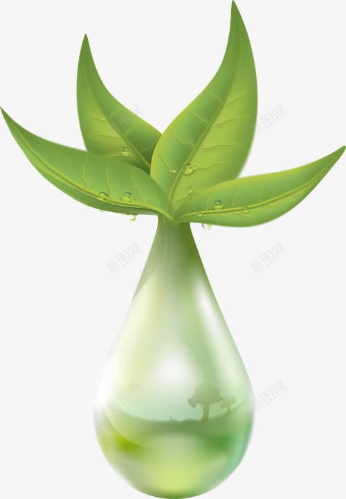 植物萃取png免抠素材_新图网 https://ixintu.com 安全 纯洁 绿色