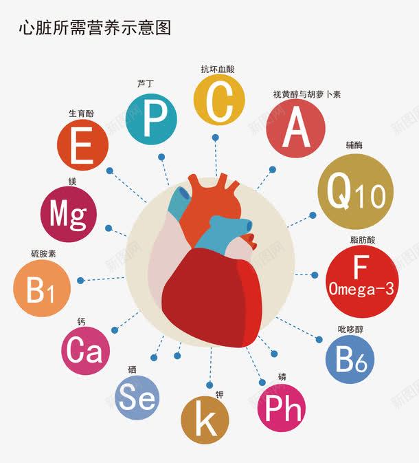 心脏所需营养示意图png免抠素材_新图网 https://ixintu.com 免抠图 字母 心脏 心脏抽象示意图 效果图 营养物质 装饰图 装饰画