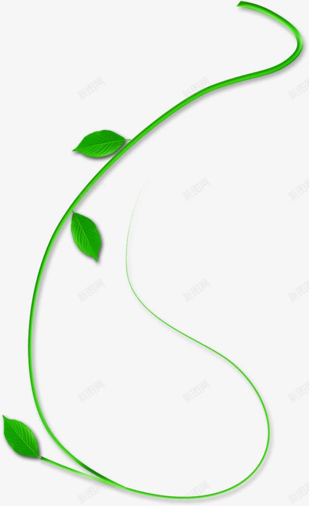绿色清新植物树藤装饰图案png免抠素材_新图网 https://ixintu.com 免扣PNG 树藤 植物 清新 绿色 装饰图案