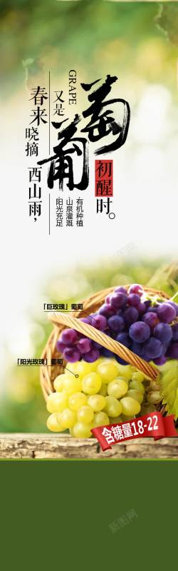 农产品宣传葡萄海报高清图片
