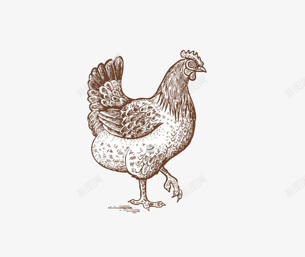 鸡养鸡图标png_新图网 https://ixintu.com icon 图标 手绘 素描鸡 美食 食物 鸡 鸡尖 鸡翅 鸡肉