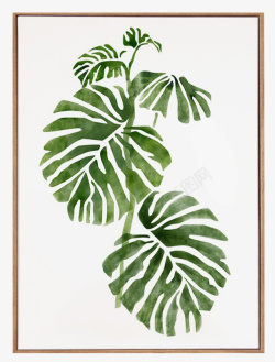 现代北欧装饰画绿色植物叶子的绘画高清图片
