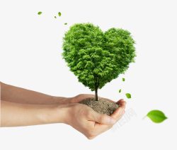 绿色爱心捐款树唯美环保手捧爱心树高清图片