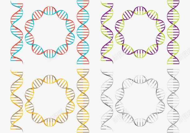 4个彩色双螺旋向量psd免抠素材_新图网 https://ixintu.com DNA分子 双螺旋向量 基因