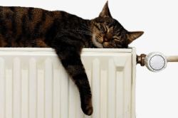 温暖家居暖气片和猫高清图片