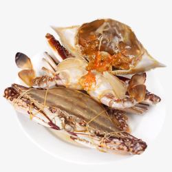 白色盘里的蛤蜊白色盘里的梭子蟹高清图片