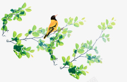 卡通手绘绿枝上的小鸟素材