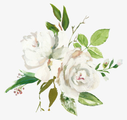 手绘水彩白色花朵素材