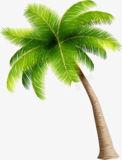 椰树装饰素材简约绿色椰树高清图片