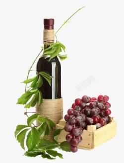 饮酒用藤蔓缠绕的葡萄酒高清图片