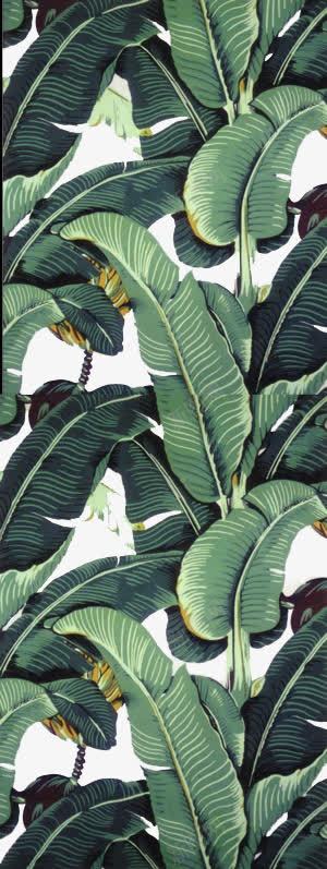水彩手绘植物png免抠素材_新图网 https://ixintu.com 大树叶 手绘 绿色 芭蕉树