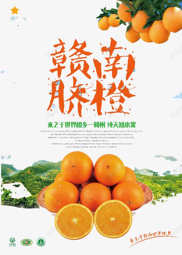 脐橙png免抠素材_新图网 https://ixintu.com 宣传 橙子 水果 食物