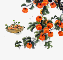 水彩柿子水彩中国风秋季柿子高清图片