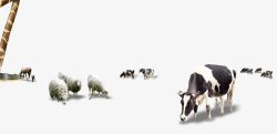 牛羊成群成群的动物牛羊高清图片