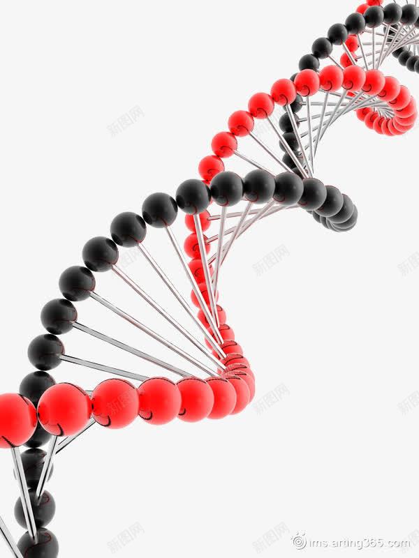 DNA螺旋png免抠素材_新图网 https://ixintu.com dna 分子 化学成分 原子 基因 实验 科学