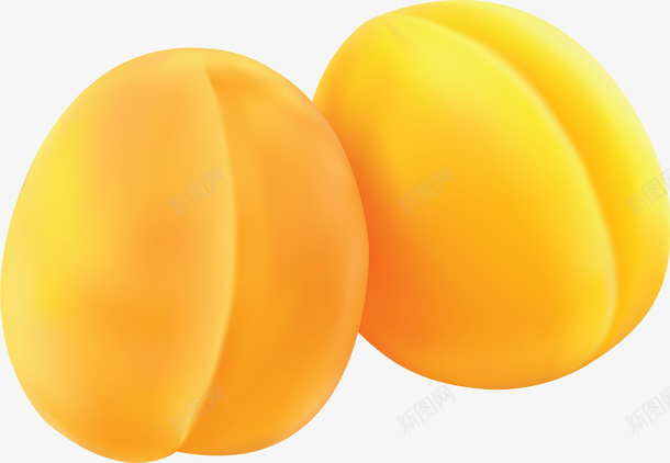 实物新鲜杏子png免抠素材_新图网 https://ixintu.com 两个杏子 平面 手绘 新鲜杏子 水果 鲜黄杏子