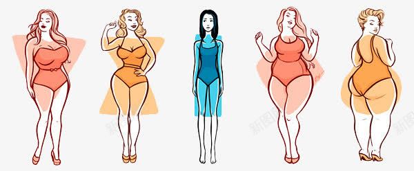 女性图标png_新图网 https://ixintu.com 卡通 手绘 美女腰 胖子 苗条 身材