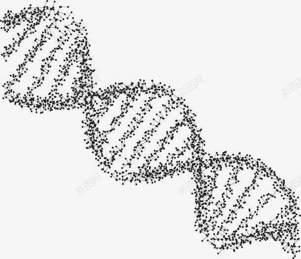 脱氧核糖核酸分子结构png免抠素材_新图网 https://ixintu.com DNA DNA分子结构 DNA双螺旋结构图片 生物分子 科学技术