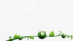 绿色的大西瓜手绘西瓜水果高清图片