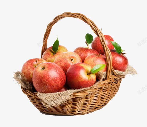 苹果png免抠素材_新图网 https://ixintu.com 水果 水果篮 美食 苹果