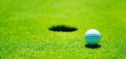 高尔夫球球洞草地上的高尔夫球高清图片